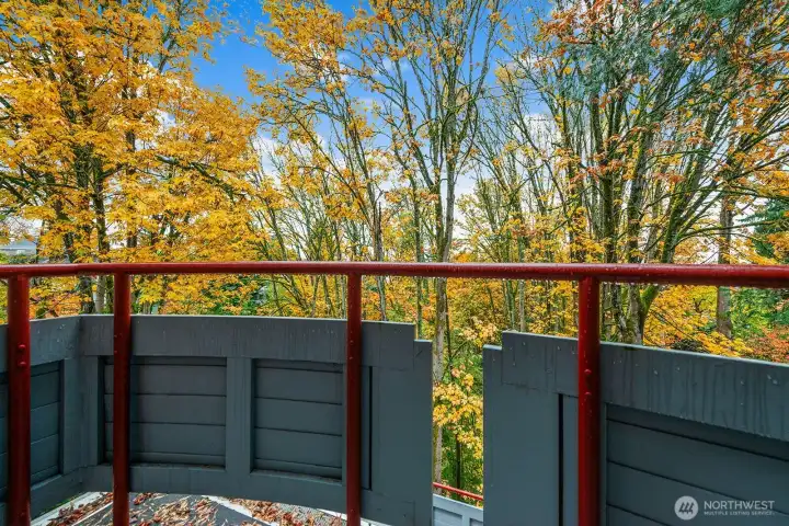 Small Julette balcony off of the primary bedroom