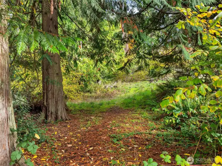 A gentle pathway into the upper portion of Lot A.