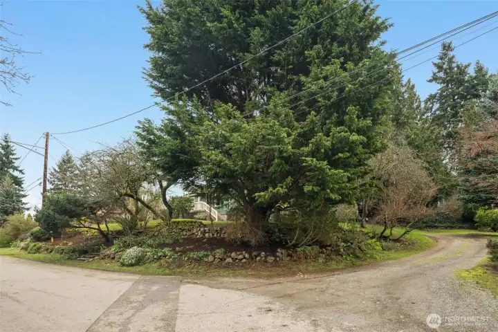 The driveway into the property and plenty of parking on the side of the street too. The street dead-ends and with the park and pond across the street, it really feels like you are in the woods.
