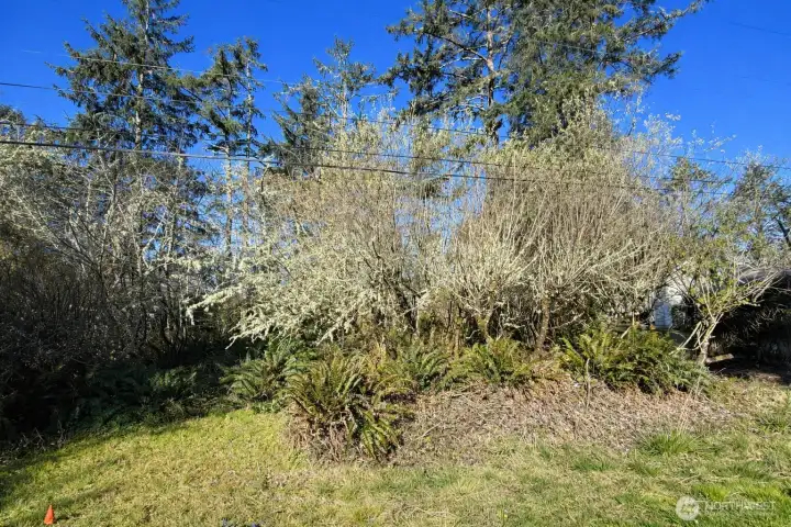 2nd Lot at 375 Dolphin