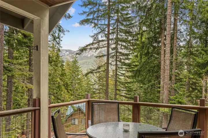 Seamless extension of the dining space, this spacious covered deck invites outdoor living with peaceful mountain vistas and fresh alpine air.