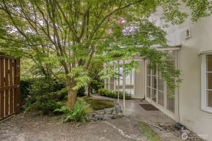 Side courtyard with Japanese garden Side courtyard with Japanese garden
