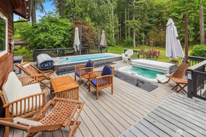 What a retreat! Trex decking and a luxurious hot  tub and swim spa.