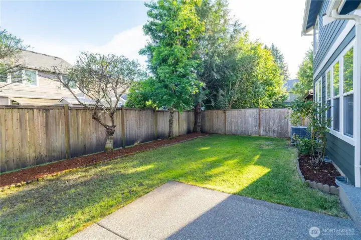 Backyard - Fully Fenced Backyard - Fully Fenced