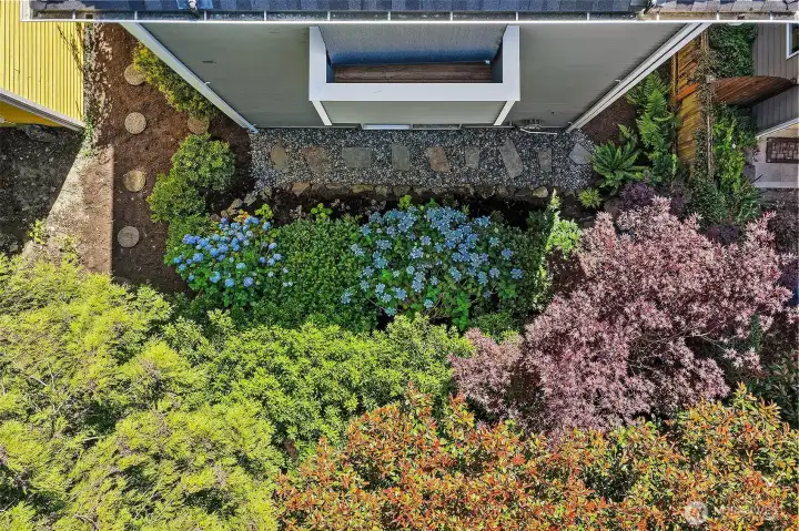 Kitchen outlook to mature grounds, layered plantings and soft natural privacy.