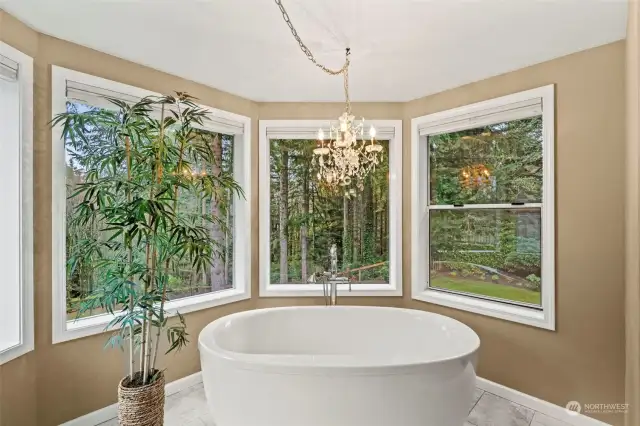 The elegant primary bath showcases this amazing soaking tub and is the perfect place to unwind after a long day.  With views to the private back yard, this is the perfect tranquil spa-like setting to relax in.