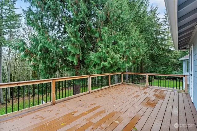 There is a deck off of the upstairs bonus room that is a perfect place to enjoy the gorgeous backyard and territorial views.