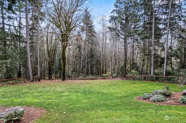 Beautiful view down to the private, fenced backyard.