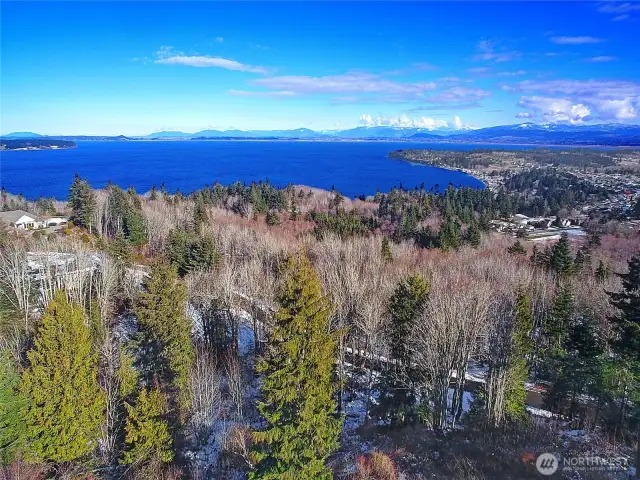 Aerial shot from above the property