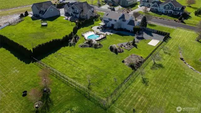 Pool Virtually Staged