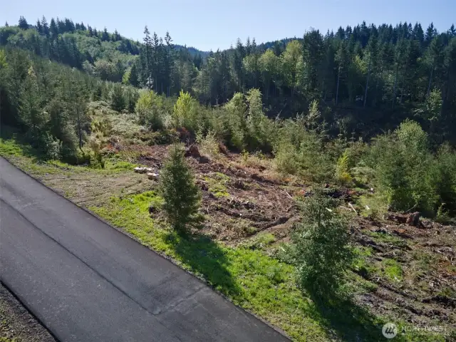 Homesite