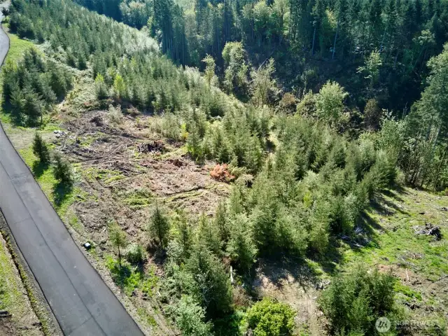 Aerial View of Homesite