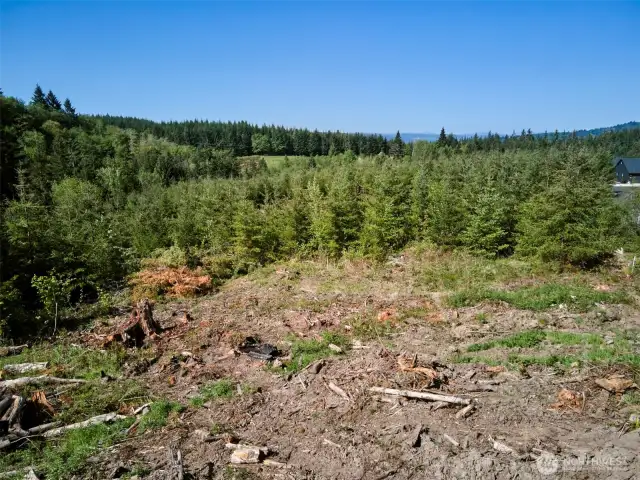 Homesite