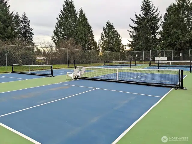 Pickle ball