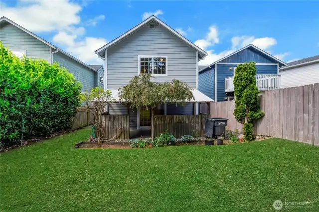 Back Yard fenced with covered porch and patio