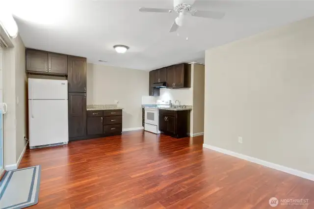 Downstairs 2nd Kitchen