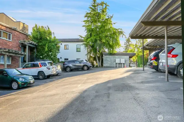 Parking spot #23 is the last one here on the right, and the rear entry to the building is seen at left. There are 8 steps up to the rear door and then 8 more down to unit 302 once inside the building.