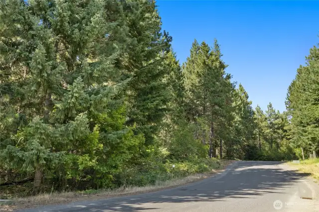 Street view of homesite