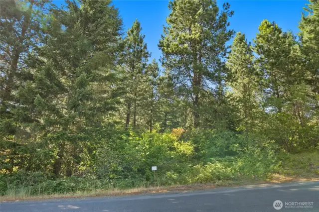 Street view of homesite