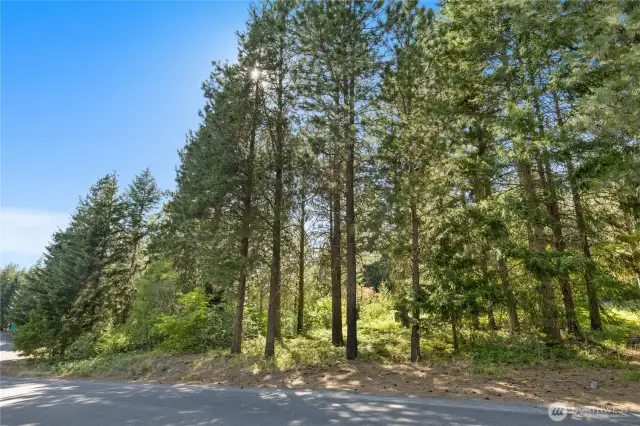 Street view of homesite
