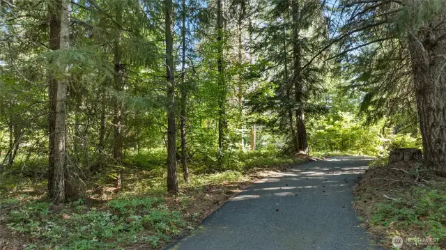 Walking/Biking Trails behind property