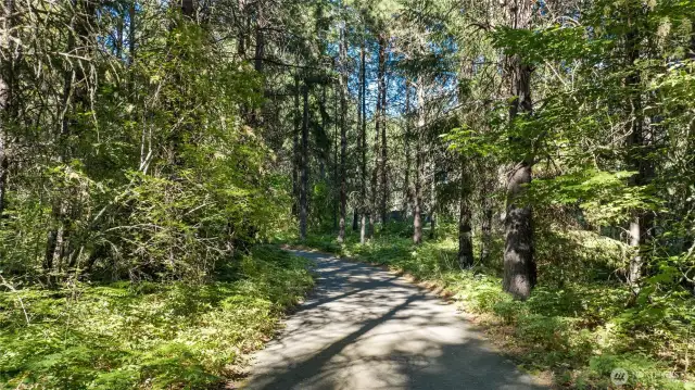 Walking/Biking Trails behind property