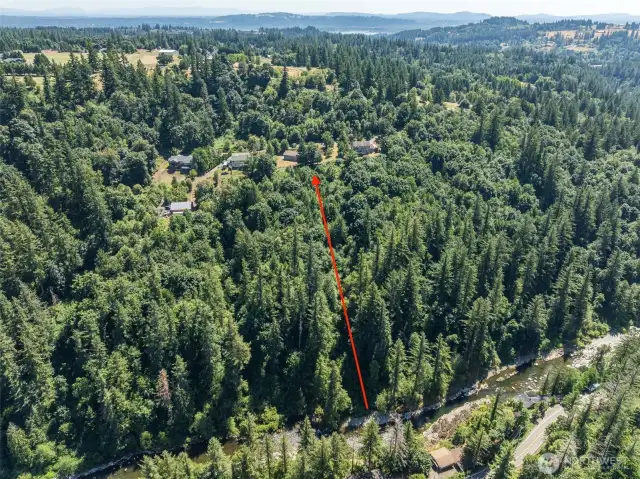 View - Wooded / Acreage