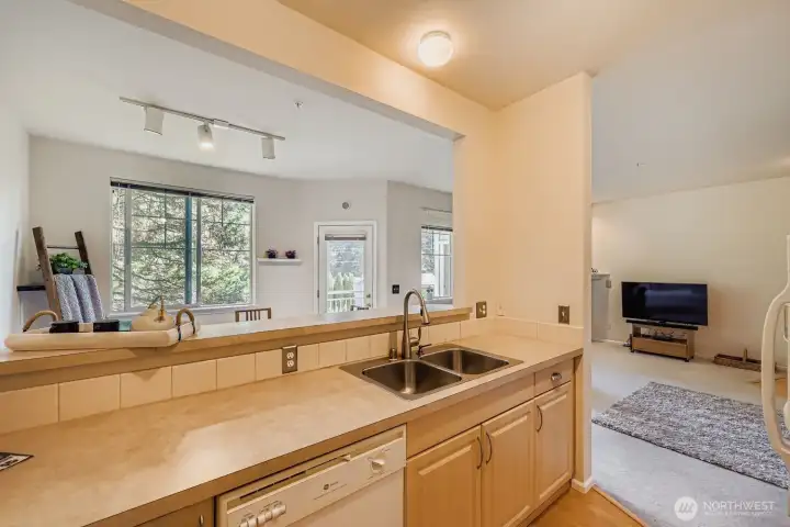 Views to the outside from kitchen.