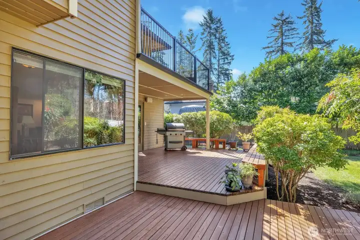 Back (tiered) deck provides plenty of space for entertaining  your guests