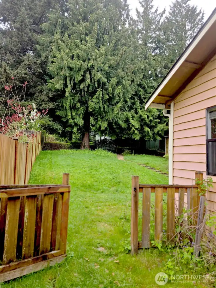 Views to the backyard