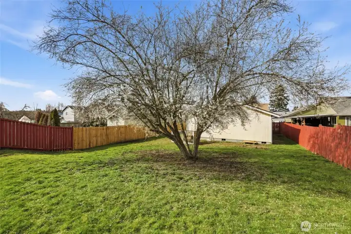 Expansive backyard with endless potential—imagine summer evenings around a fire pit, a playset for the kids, or a peaceful retreat surrounded by greenery. Plenty of room to make it your own!