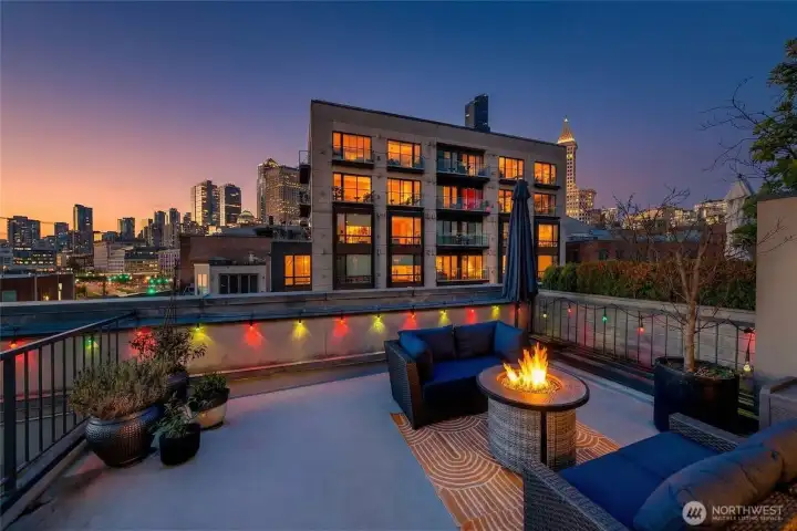 View Rooftop Terrace at sunset, Olympic Mountains fading into the horizon