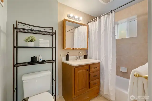 Primary bath, lower level
