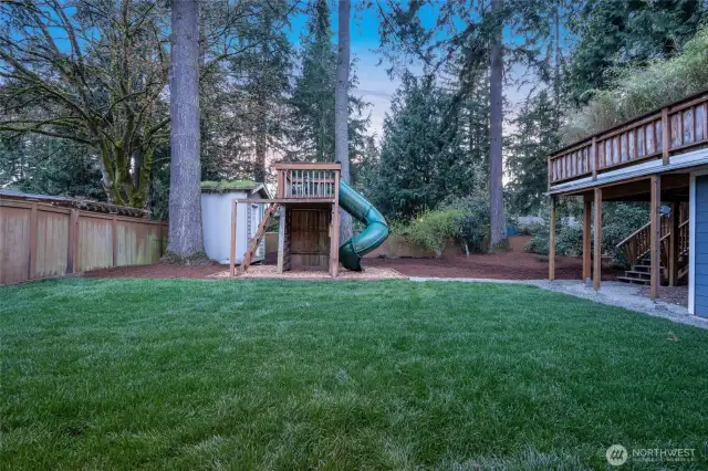Backyard with playset