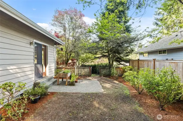 Side yard