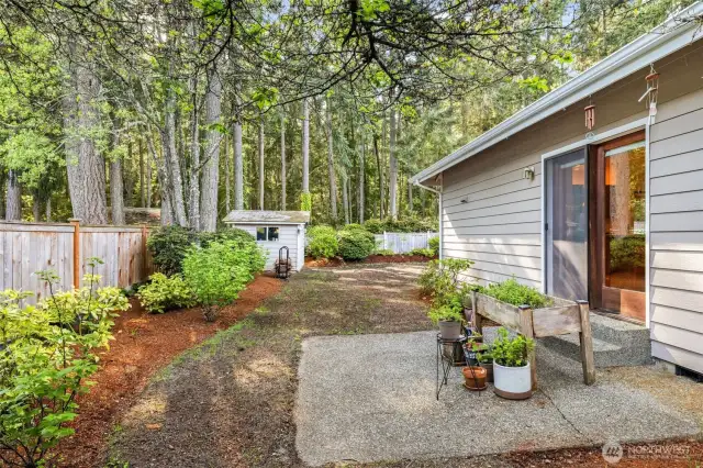 Side yard