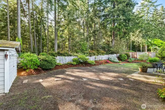 Forested area behind home