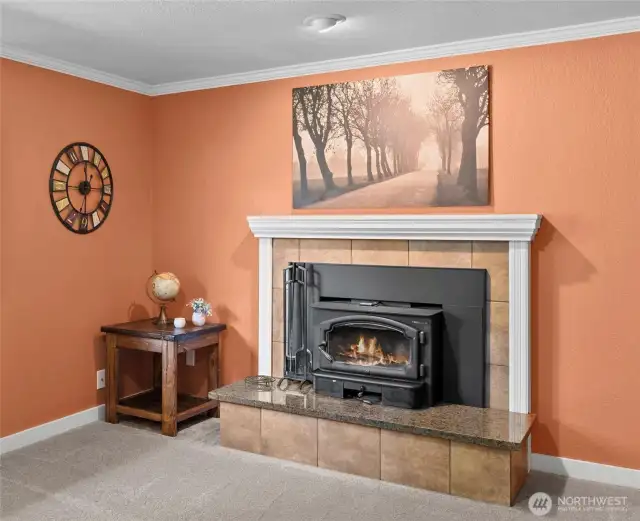 Downstairs Family room wood burning fireplace insert