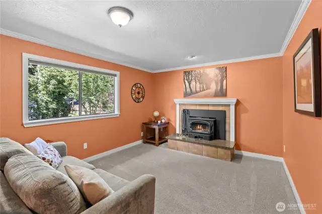 Downstairs Family room wood burning fireplace insert
