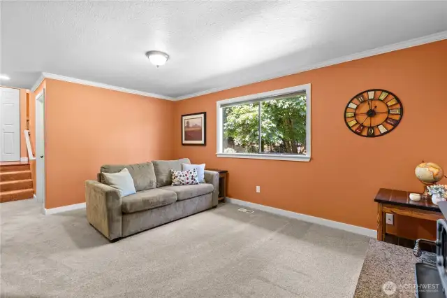 Downstairs Family room wood burning fireplace insert