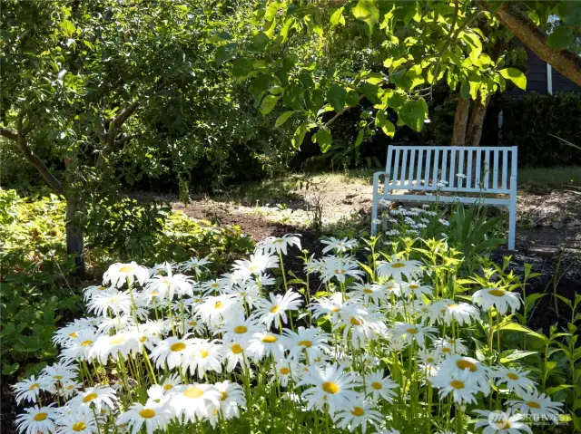 Hard to believe this lovely, shady spot is in the front yard. A great spot to chill out and absorb nature at its best.