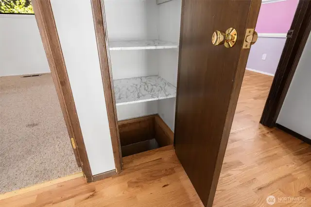 Laundry chute to the hobby/artists room