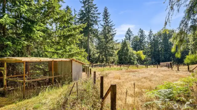 Chicken coop and back field #1