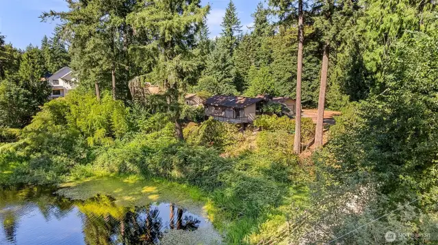 Pond w/ bubbler, so peaceful!