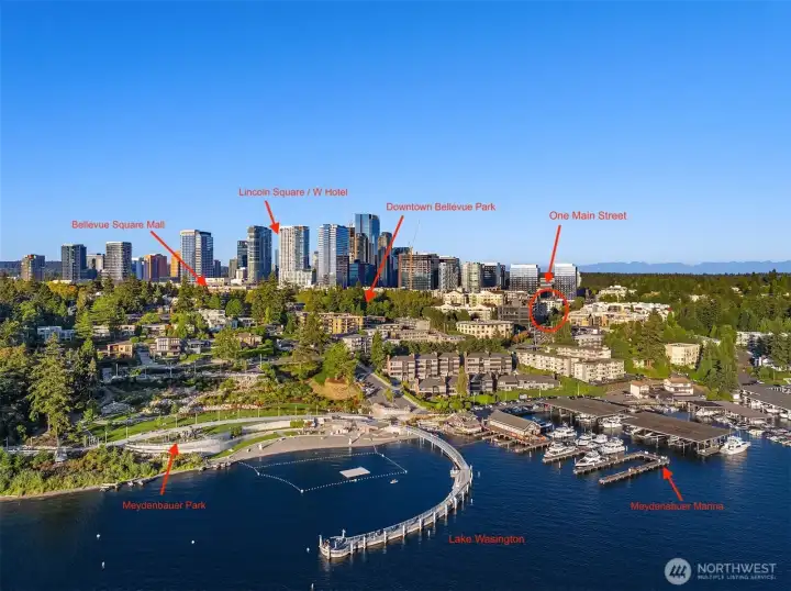 Lake Washington & Downtown Bellevue Attractions