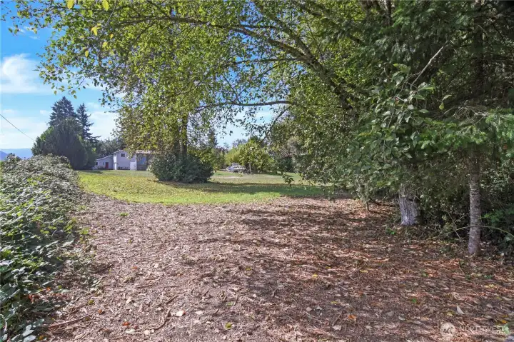Large cleared property