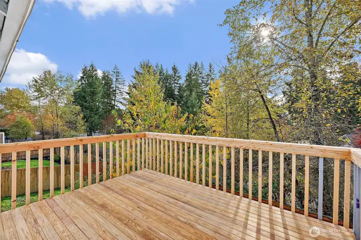 Back Deck off the Kitchen