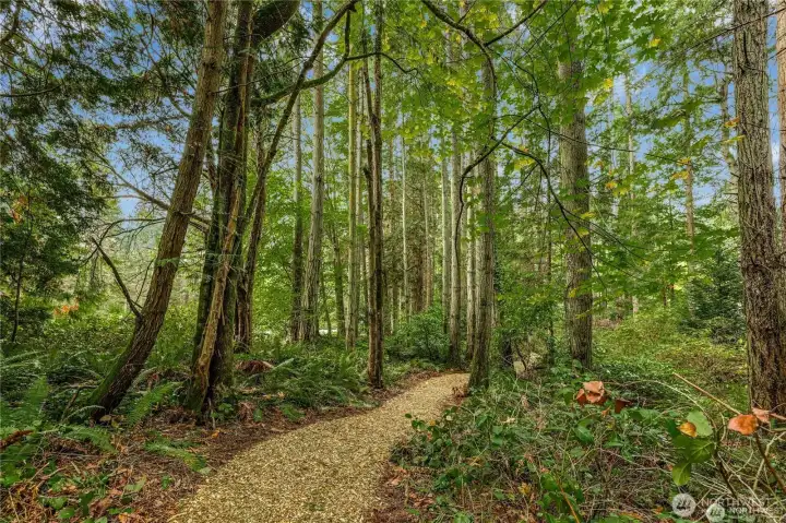 Forest on all sides with plenty of space for an ideal homesite
