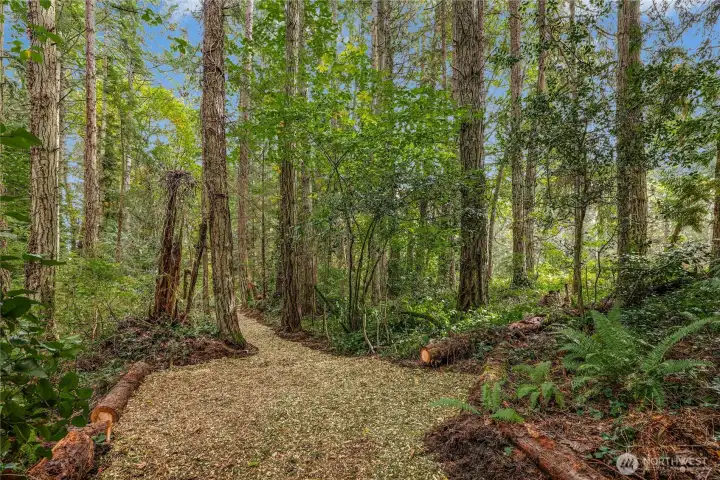 This clearing at the center of the trail represents a midpoint between Lot A and Lot B