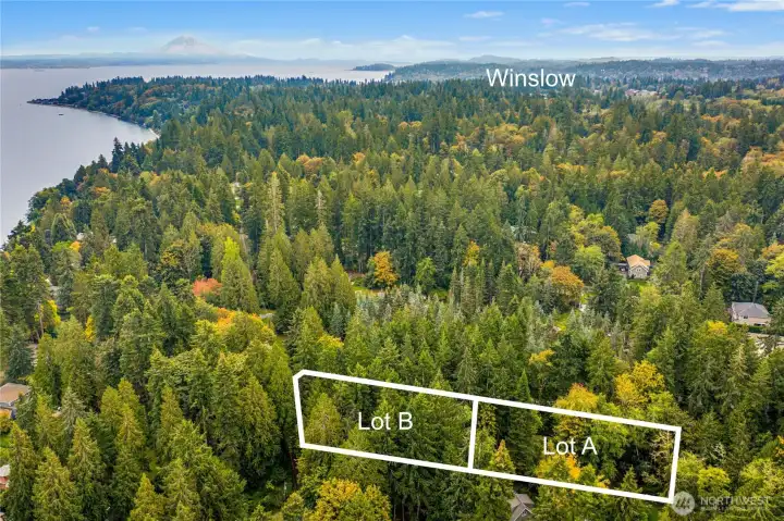 Ferry and Winslow access directly down Ferncliff Ave